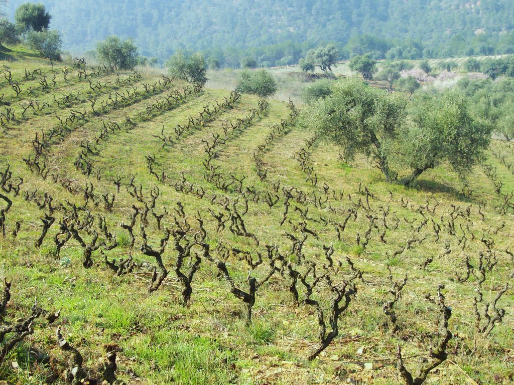 Marsá Mas Figueres 빌라 외부 사진