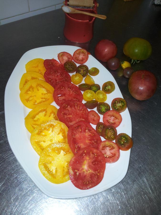Marsá Mas Figueres 빌라 외부 사진